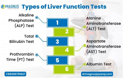 what is a liver soft tissue test|types of liver function tests.